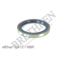 06562890133-IVECO, -SHAFT SEAL, DIFFERENTIAL